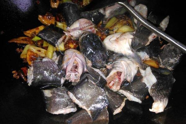 野生鯰魚價格多少錢一斤?