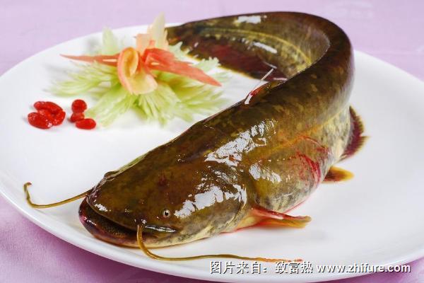 鯰魚頭能吃嗎？