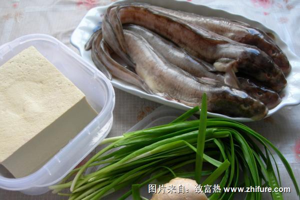 鯰魚怎么做下奶？