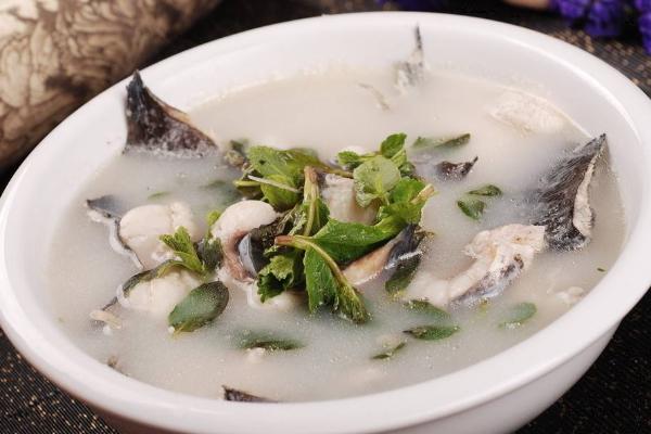 鯰魚怎么做下奶？