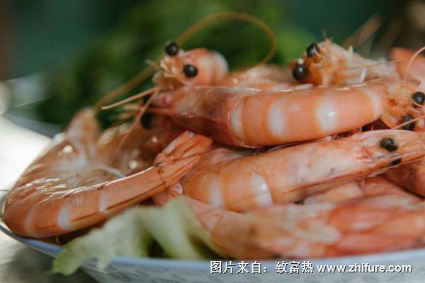 基圍蝦是海蝦還是河蝦？