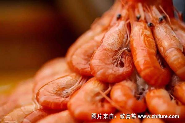 孕婦可以吃河蝦嗎？