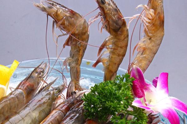 草蝦是海蝦還是河蝦?