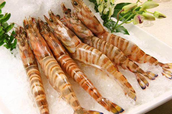 草蝦是海蝦還是河蝦?