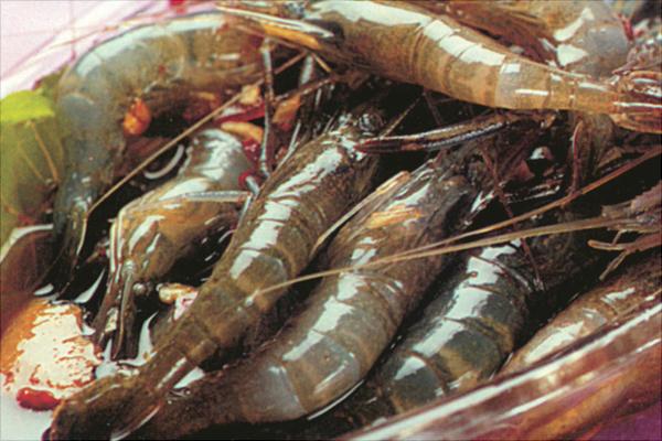 痛風可以吃河蝦嗎?