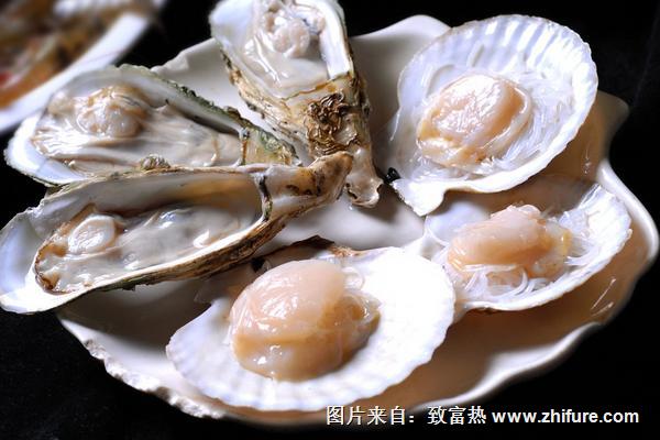 生蠔和扇貝的區別是什么?