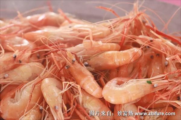 河蝦的頭能吃嗎？