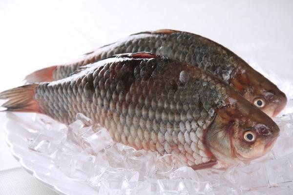 鯽魚湯的功效與作用及禁忌