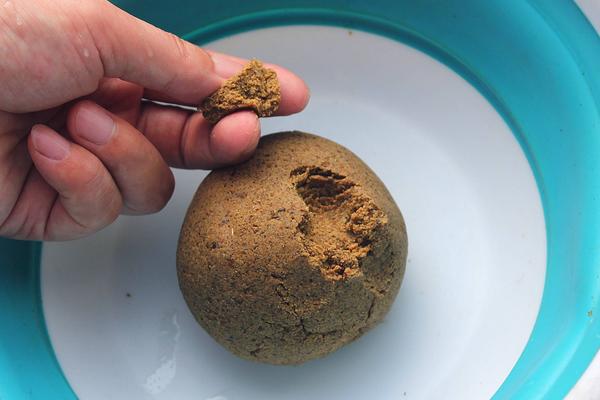 鯽魚最喜歡吃什么餌料食物?