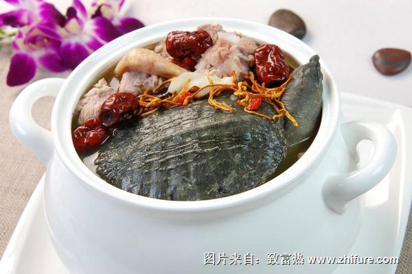枸杞甲魚湯的做法及功效作用
