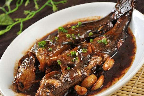 黃顙魚不適合什么人吃?