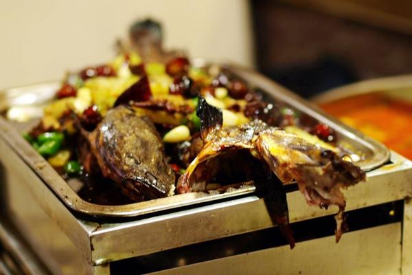 黑魚(yú)的營(yíng)養(yǎng)價(jià)值