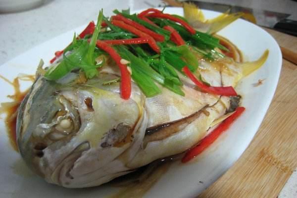 孕婦能吃白鯧魚嗎?