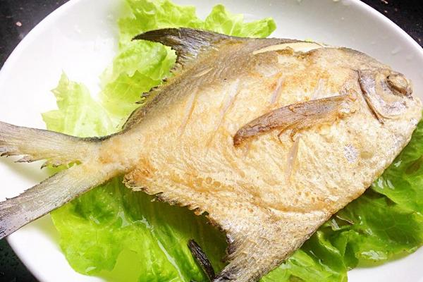 孕婦能吃白鯧魚嗎?