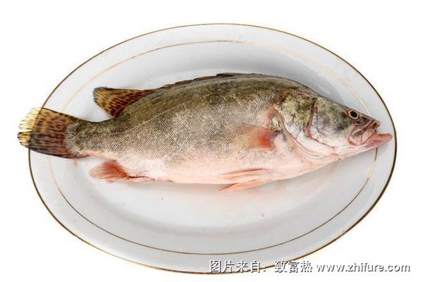 鱖魚的功效與作用及營養價格