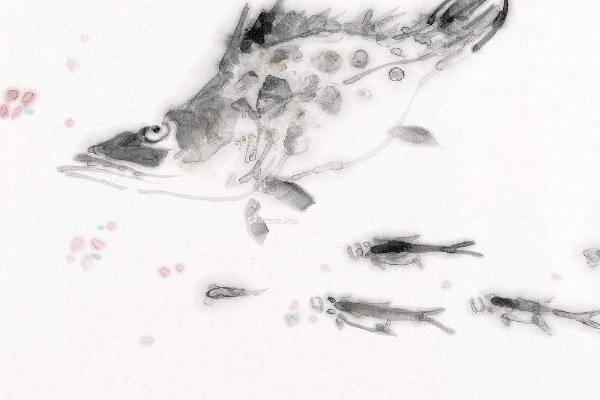 鱖魚魚苗價格是多少？