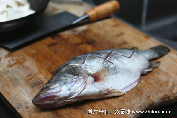 桂魚是發物嗎?