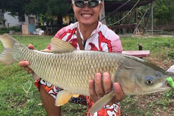 釣青魚用什么餌料最好？