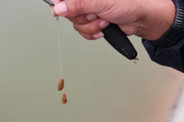 釣青魚用什么餌料最好？