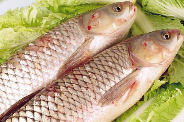 青魚是草魚嗎？