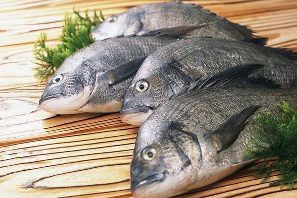 青魚是草魚嗎？