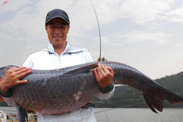 釣青魚用什么打窩？