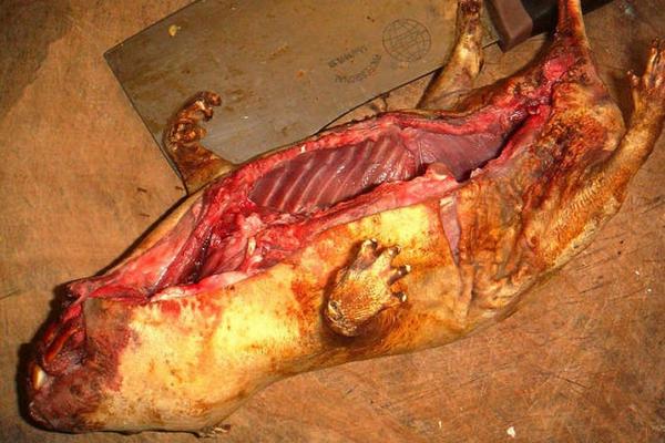 竹鼠怎么做才好吃？