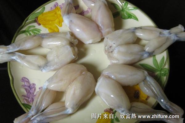 痛風可以吃牛蛙嗎？