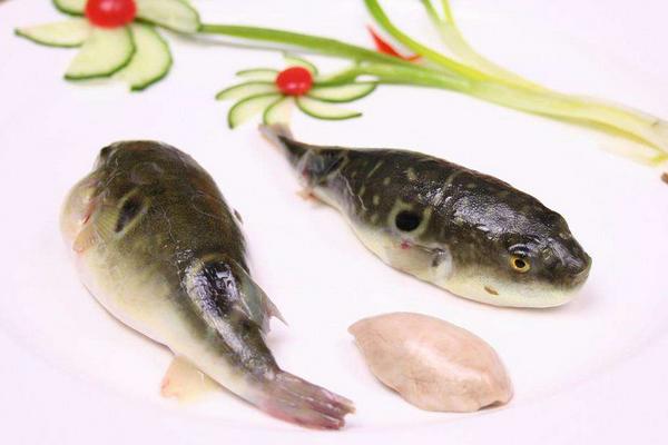 吃河豚中毒后的癥狀是什么?