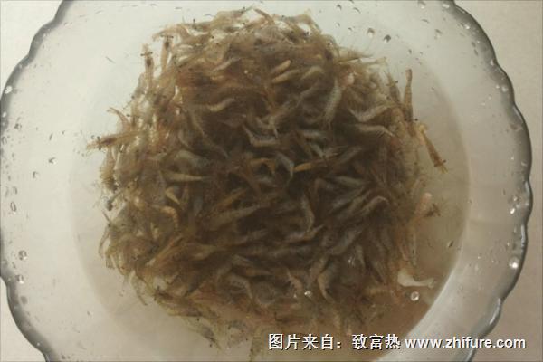 痛風可以吃河蝦嗎?