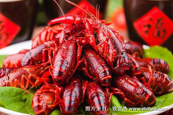 小龍蝦的做法大全