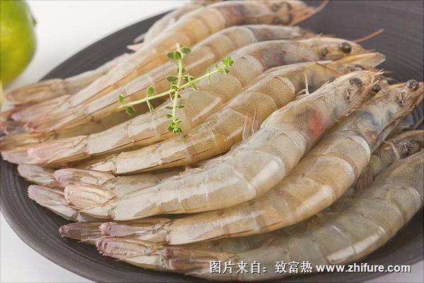 南美白對蝦白便的原因及防治辦法