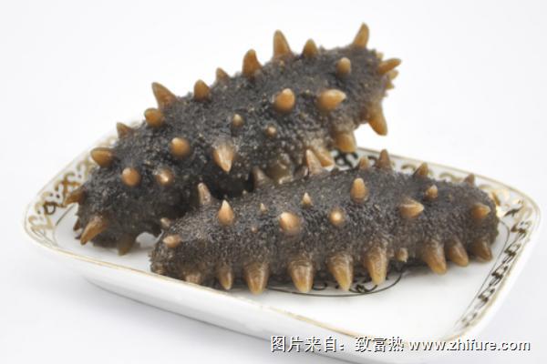 遼參和海參的區別有哪些？