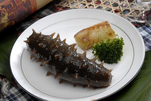 遼參和海參的區別有哪些？