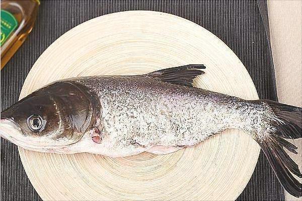 花鰱價格多少錢一斤