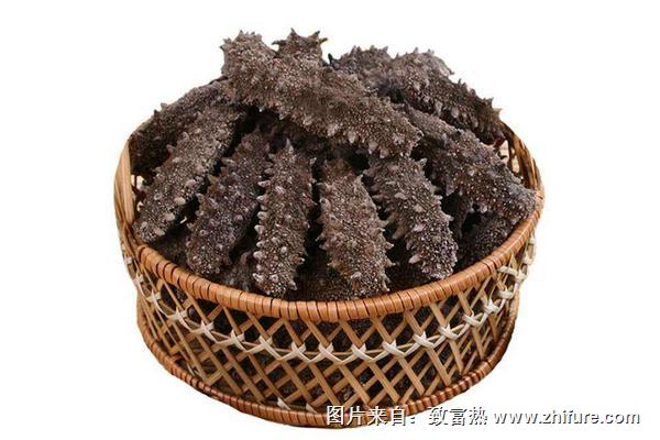 干海參怎么保存？