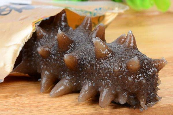 干海參怎么保存?