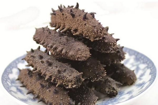 干海參怎么保存?