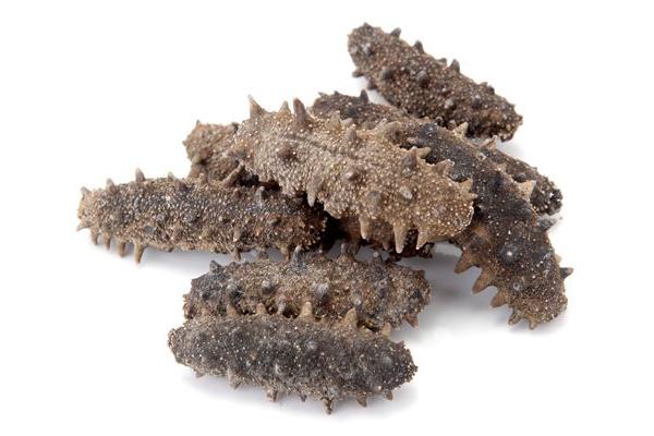 干海參怎么保存?