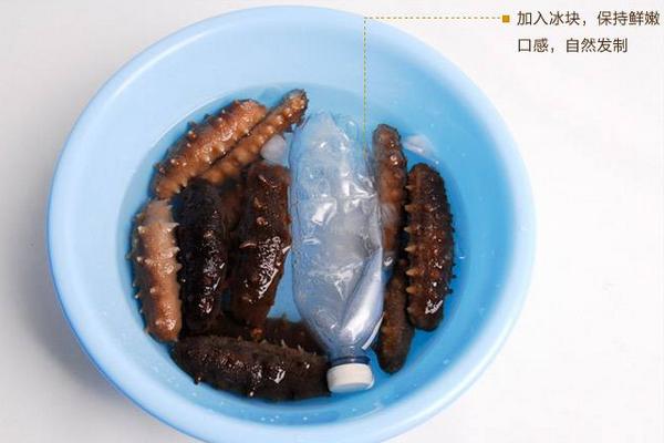 干海參怎么保存?