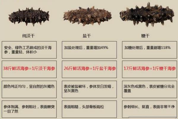 干海參怎么保存?