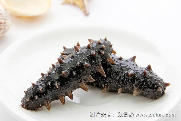 海參的功效與作用