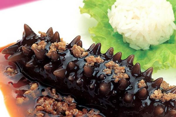 海參的功效與作用