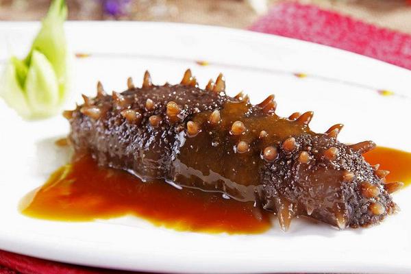 海參的功效與作用