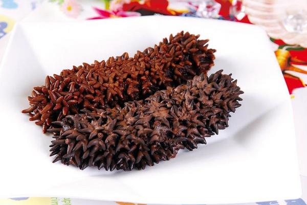 海參的功效與作用