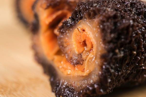 海參的功效與作用