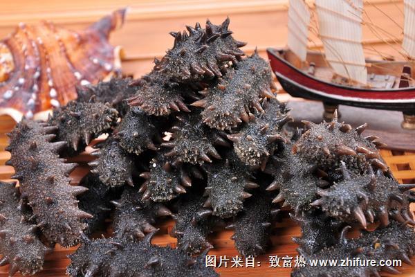 海參價格多少錢一斤？