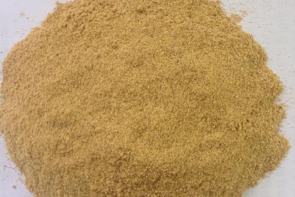 貉子飼料有哪些？