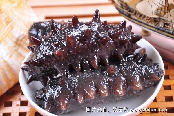 海參怎么吃最有營養？