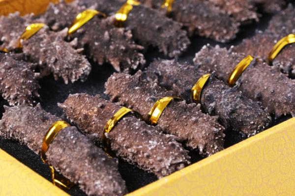 海參怎么吃最有營養?